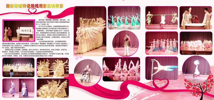 湖南mg冰球突破赞助燕赵·恒爱残疾人艺术团圆满演出