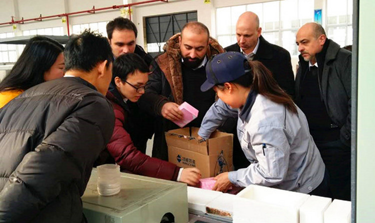 mg冰球突破·豪华版(试玩)官方网站