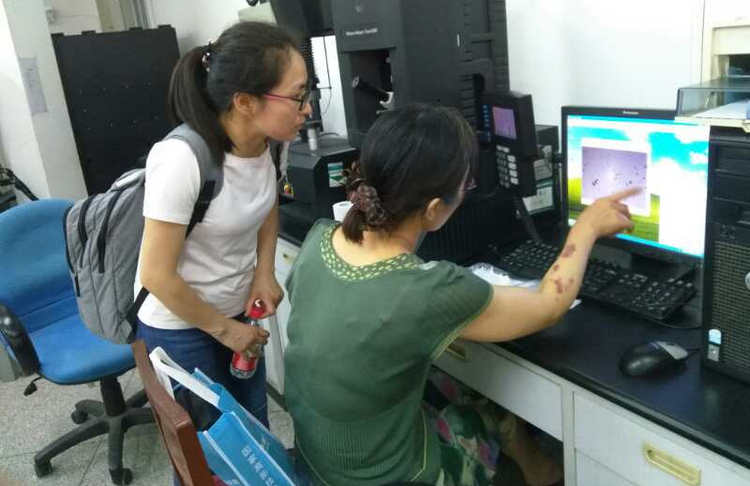 mg冰球突破·豪华版(试玩)官方网站